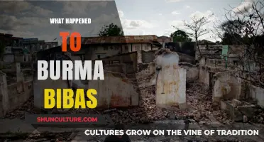 Unraveling the Mystery: What Happened to Burma Bibas?