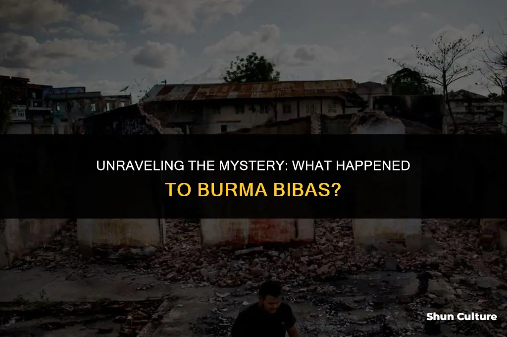 what happened to burma bibas