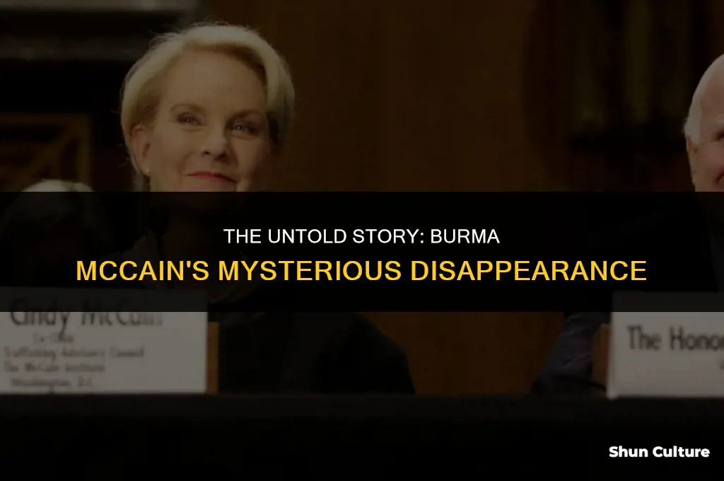 what happened to burma mccain