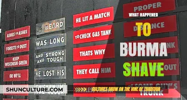 The Vanishing Legacy: What Happened to Burma Shave?