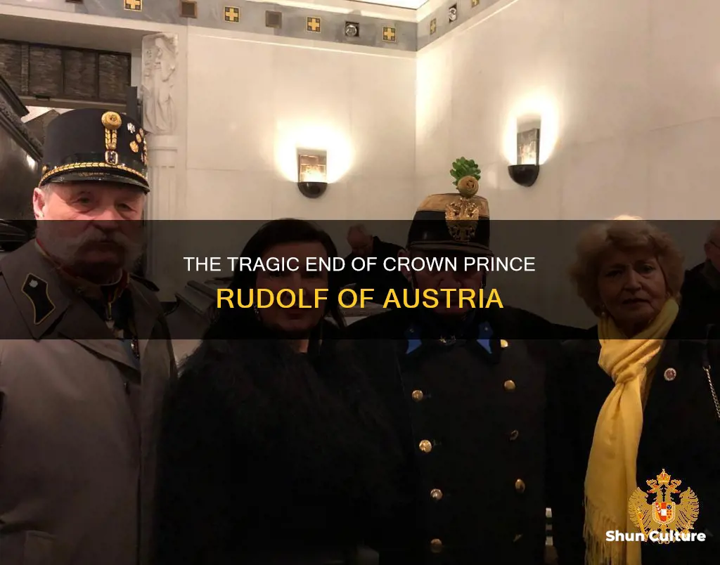 what happened to crown prince rudolf of austria