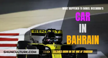 Ricciardo's Car Failure: Bahrain Breakdown