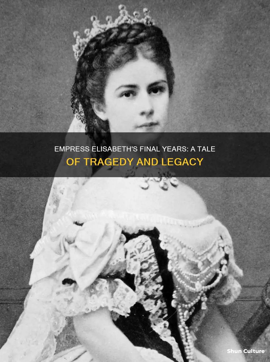 what happened to elisabeth empress of austria