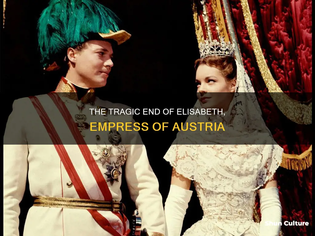 what happened to elisabeth empress of austria