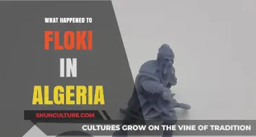 Floki's Algerian Adventure: Unraveling the Mystery of His Fate