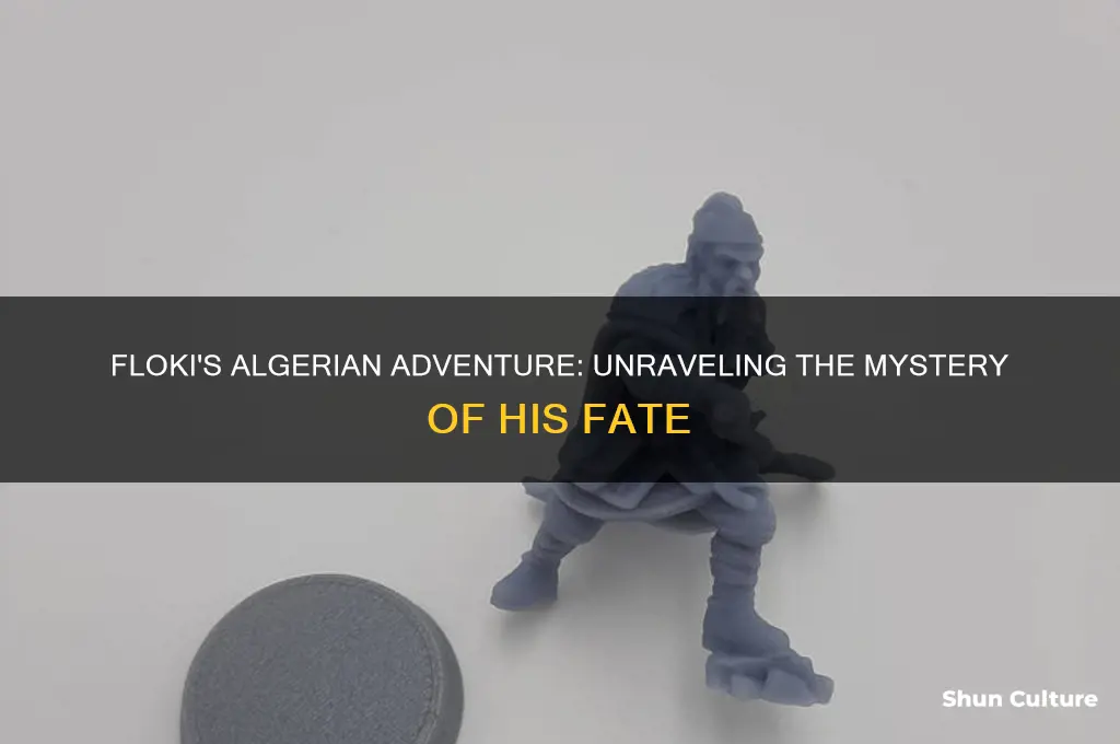 what happened to floki in algeria