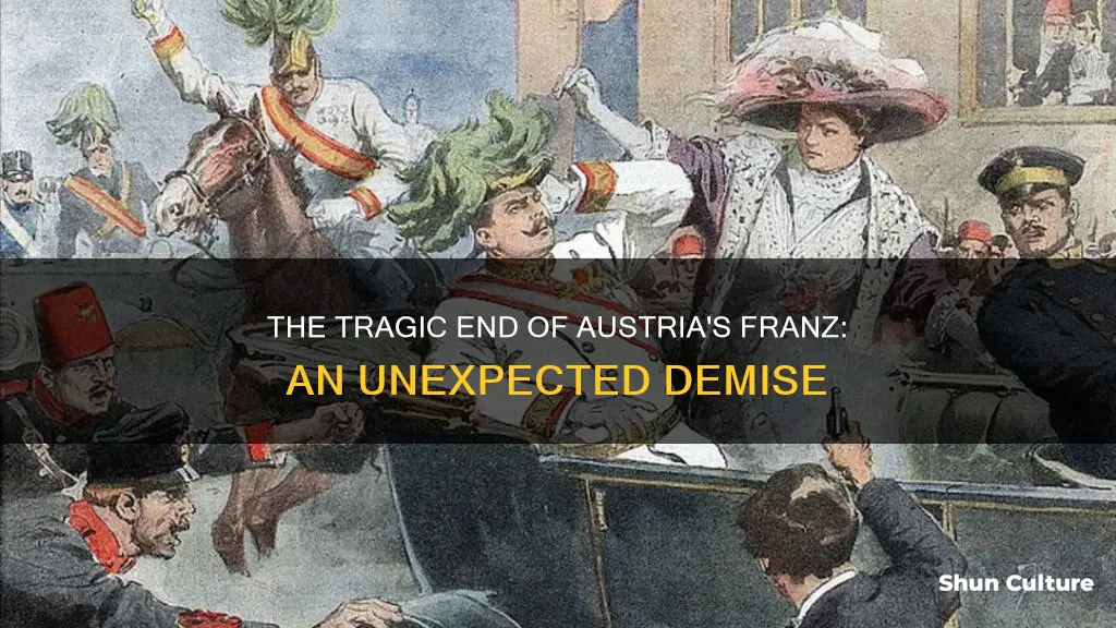 what happened to franz of austria