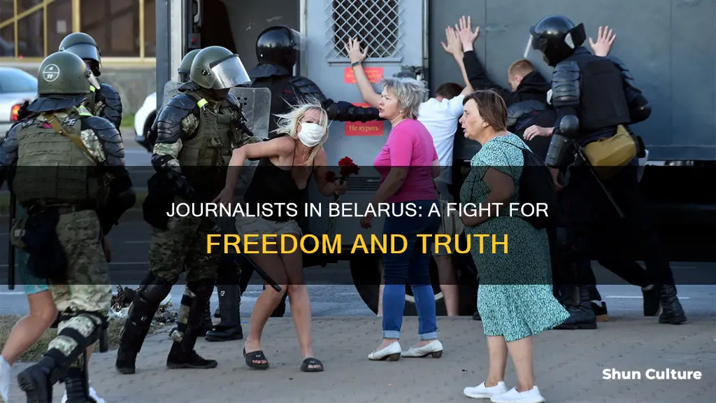 what happened to journalist in belarus