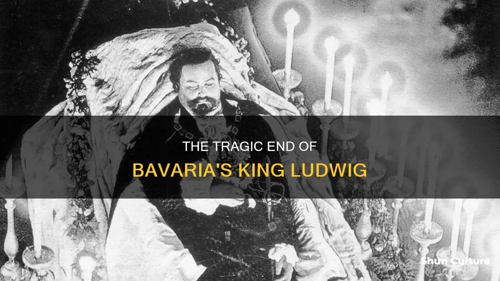 what happened to king ludwig of bavaria