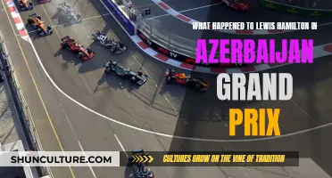 Lewis Hamilton's Azerbaijan Grand Prix Disaster