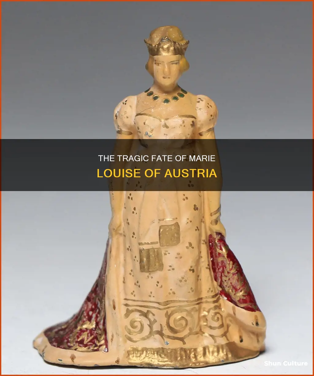 what happened to marie louise of austria