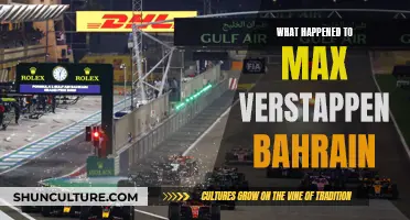 Max Verstappen's Bahrain GP: What Went Wrong?