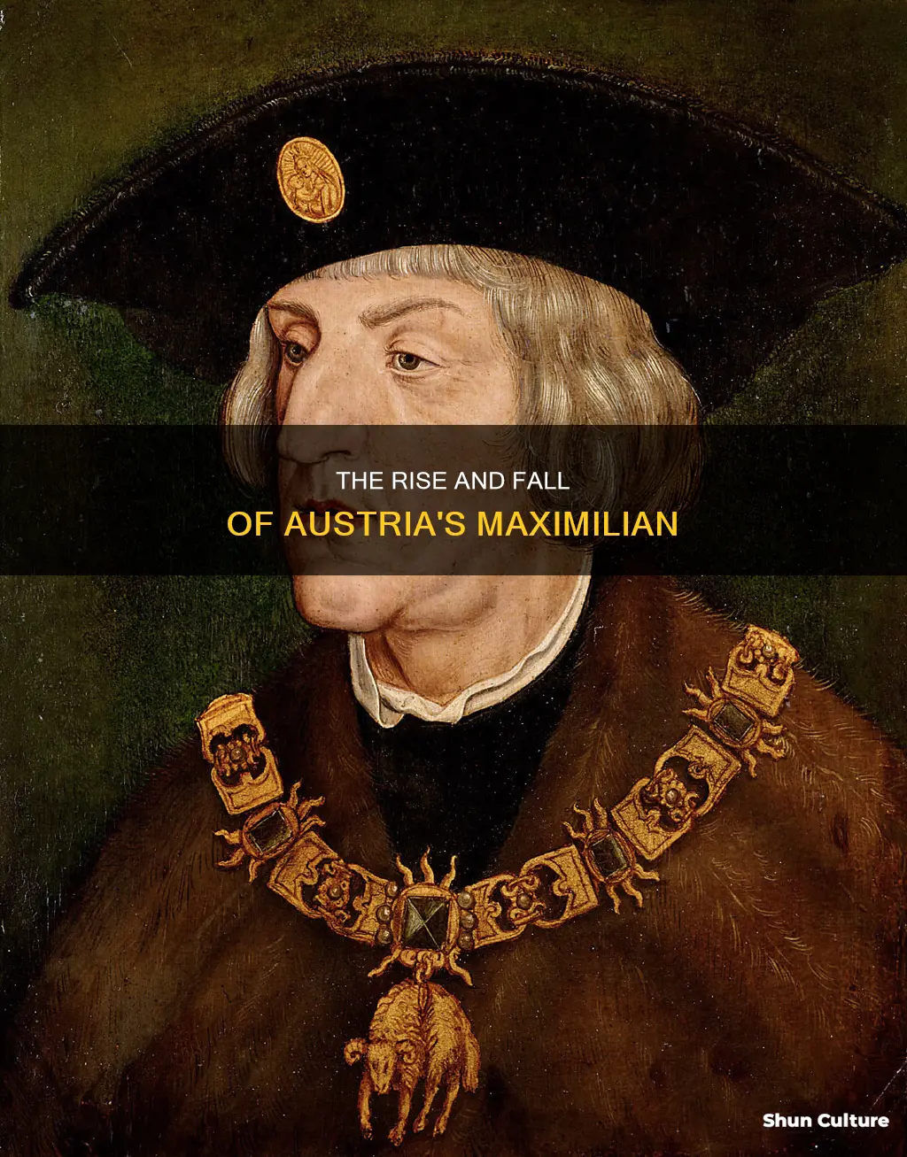 what happened to maximilion of austria