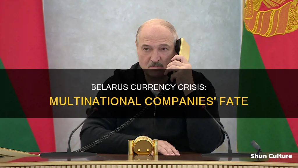 what happened to multinational companies in belarus after currency crisis