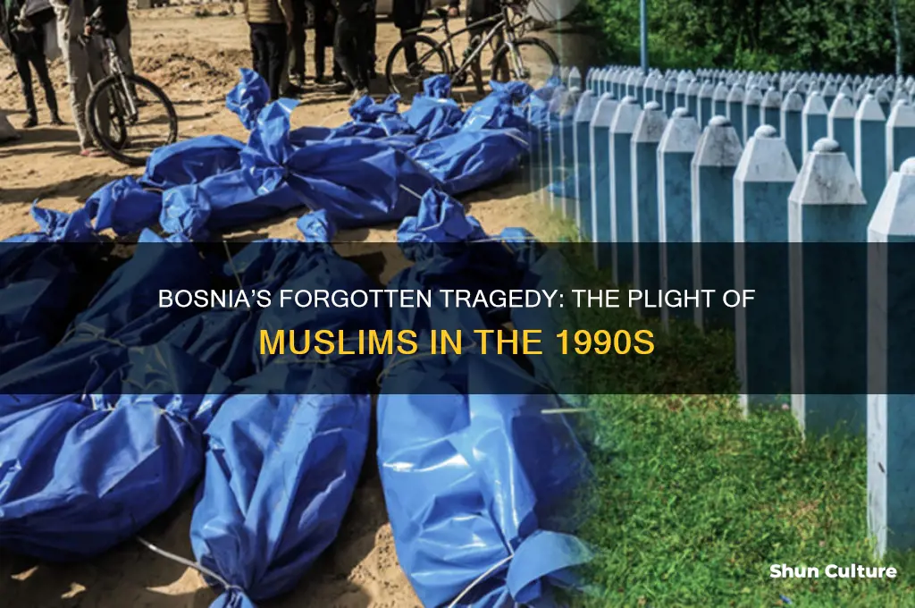 what happened to muslims in bosnia
