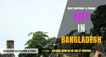 Panam City's Decline: Unraveling Bangladesh's Lost Historical Gem