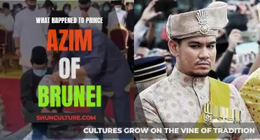 Prince Azim of Brunei: A Life Cut Short