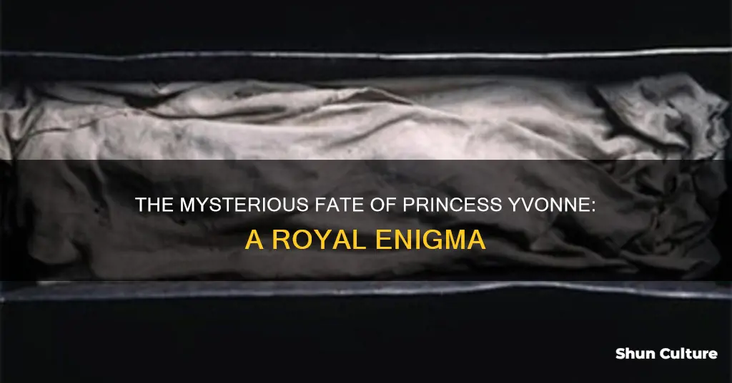 what happened to princess yvonne of austria