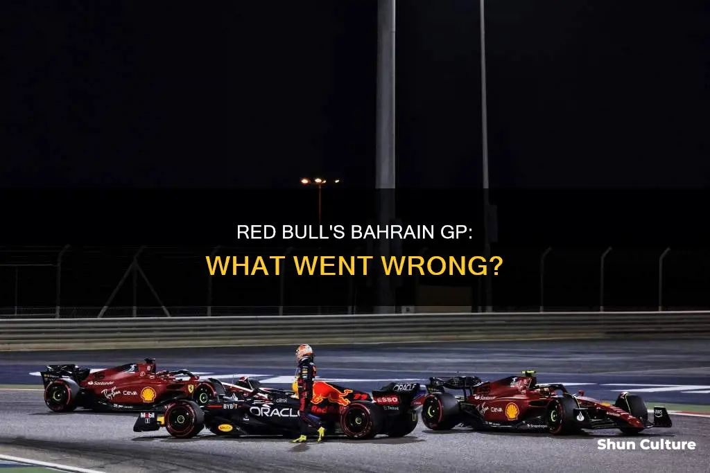 what happened to red bull at bahrain