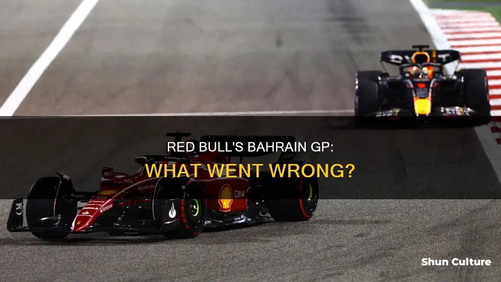 what happened to redbull at bahrain