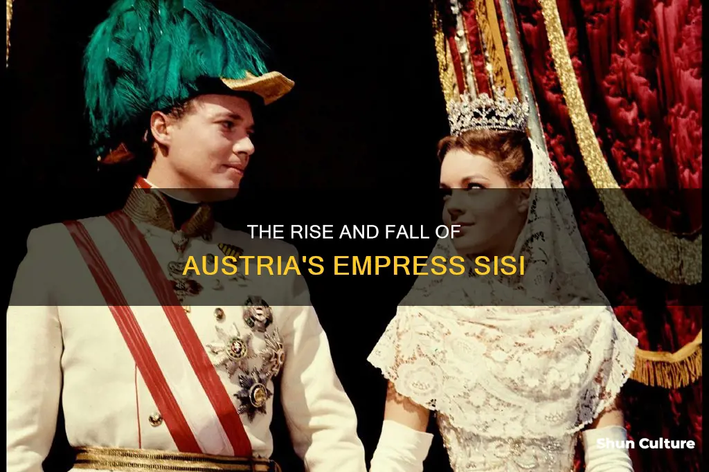 what happened to sisi of austria