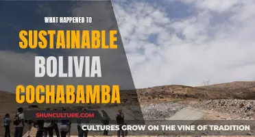 Sustainable Bolivia's Future: Cochabamba's Environmental Legacy in Question