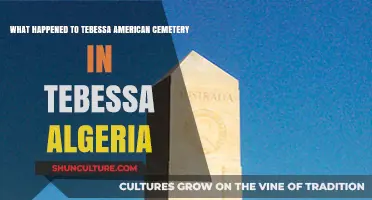 Tebessa American Cemetery: Uncovering the Fate of Algeria's WWII Memorial