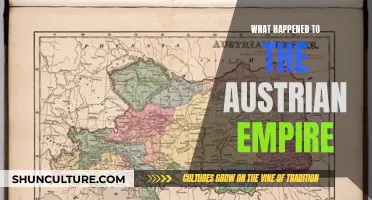 The Rise and Fall of the Austrian Empire