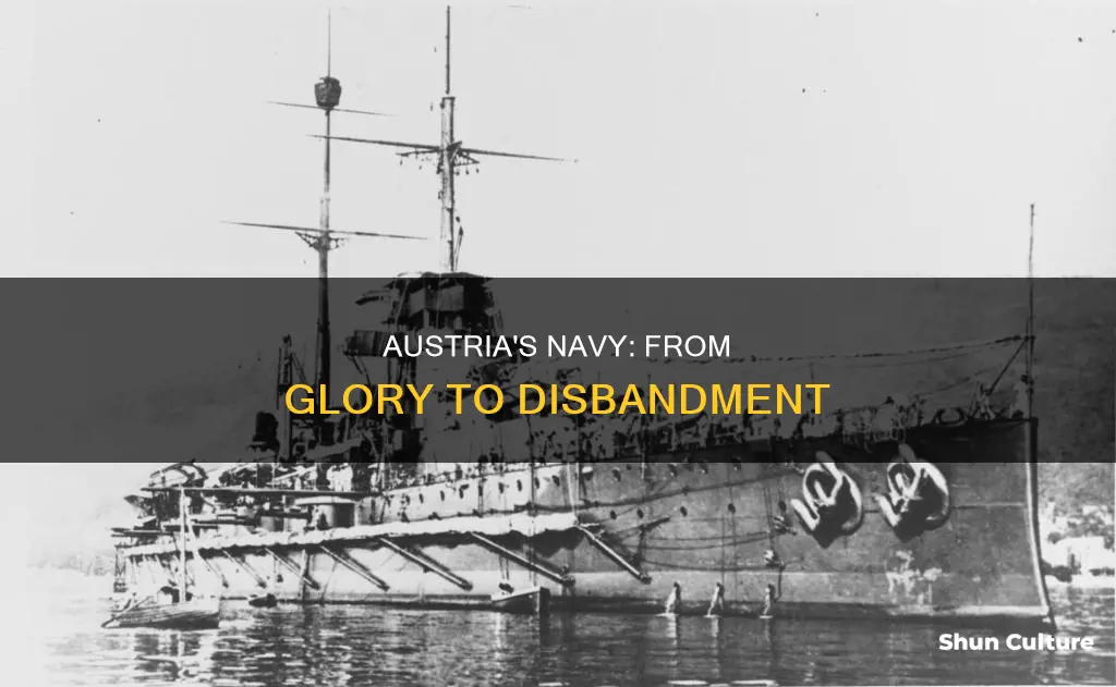 what happened to the austrian navy