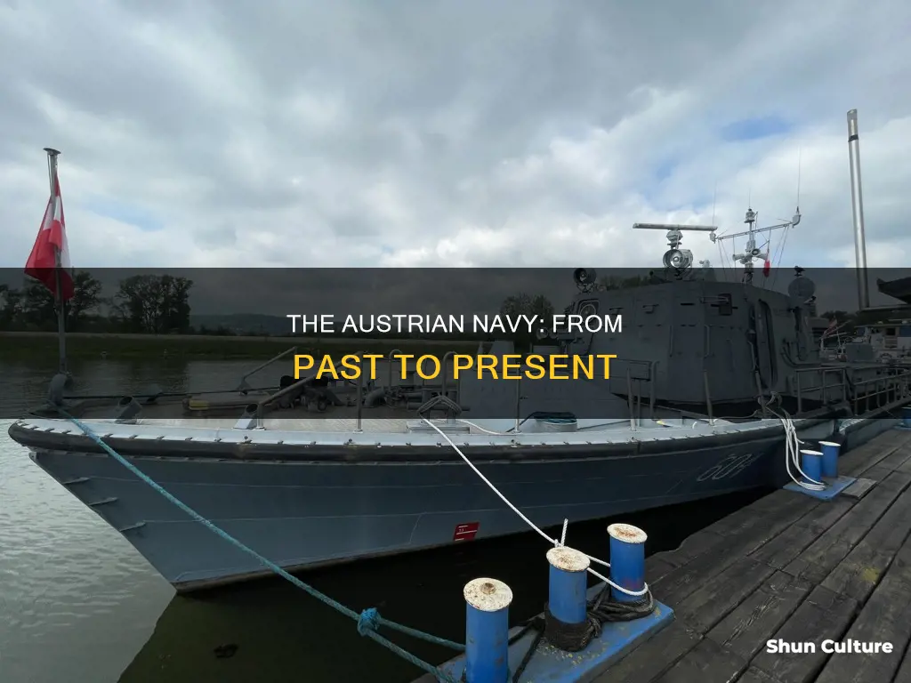 what happened to the austrian navy