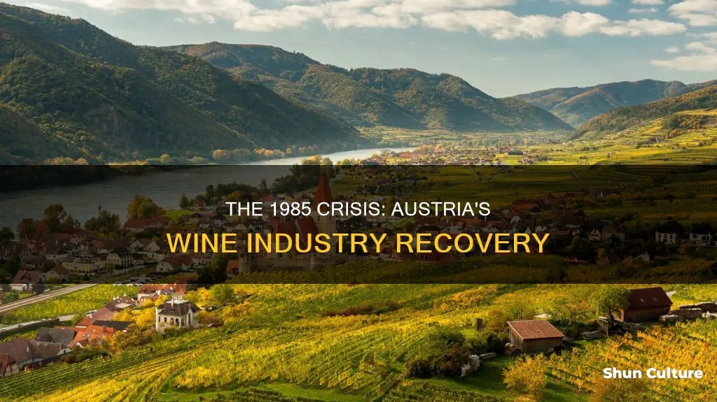 what happened to the austrian wine industry in 1985