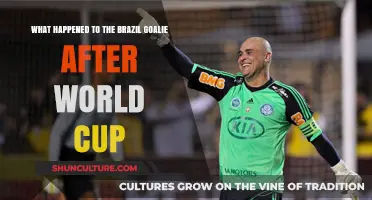 Brazil's World Cup Goalie: Post-Tournament Life and Legacy