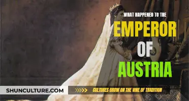 The Fate of Emperor Austria: A Historical Mystery