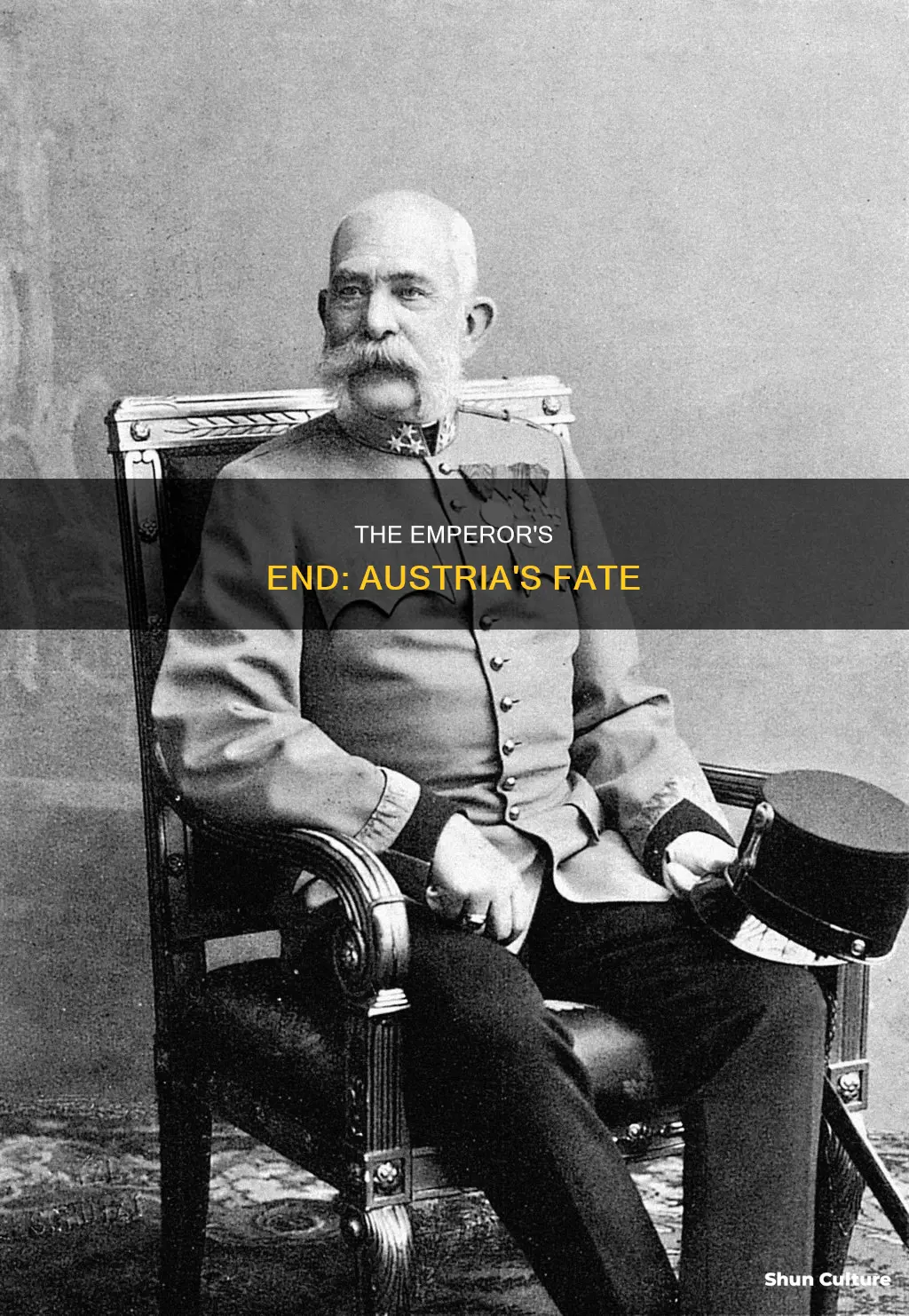 what happened to the emperor of austria