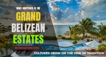 The Rise and Fall of the Grand Belizean Estates: A Legacy Lost