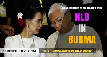 The Fate of Burma's NLD Leader: A Turbulent Journey