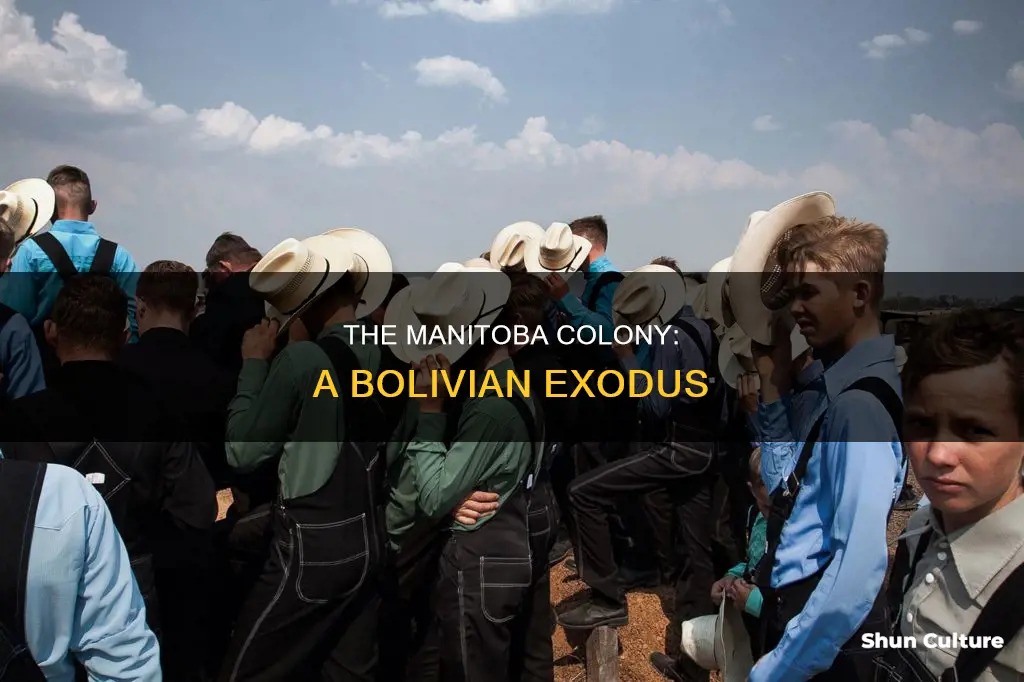 what happened to the manitoba colony in bolivia