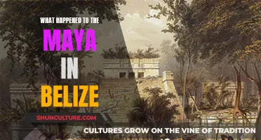 The Maya Mystery: Unraveling Belize's Ancient Civilization