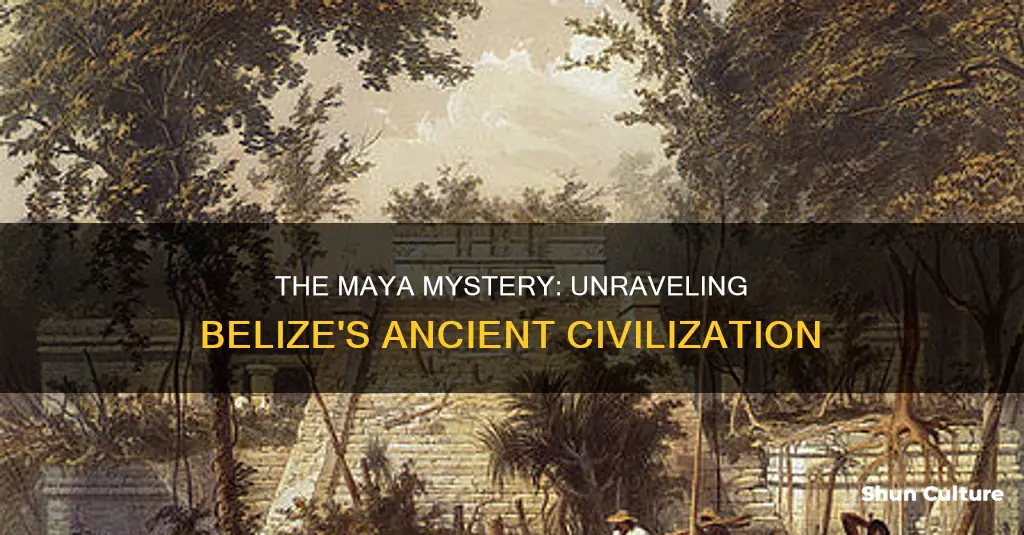 what happened to the maya in belize