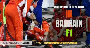 Bahrain F1: Mechanic's Ordeal and Aftermath