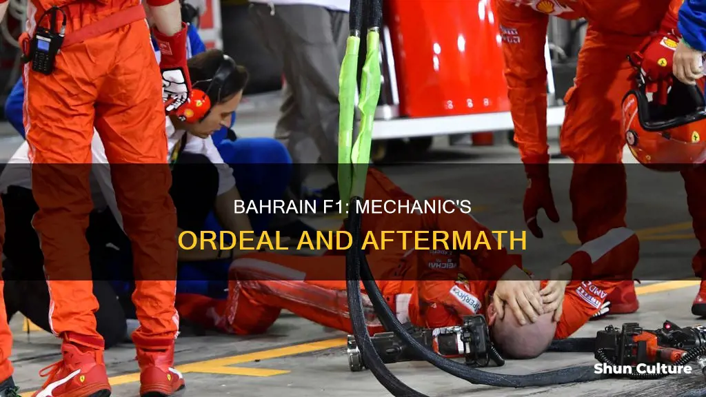 what happened to the mecahinc in bahrain f1