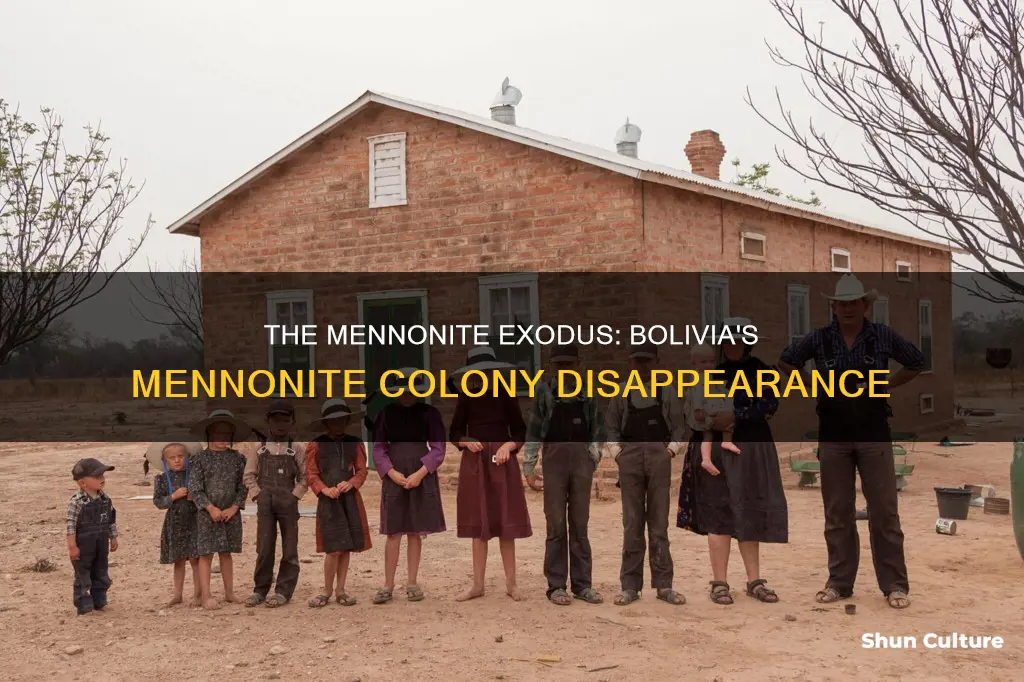 what happened to the mennonite colony in bolivia