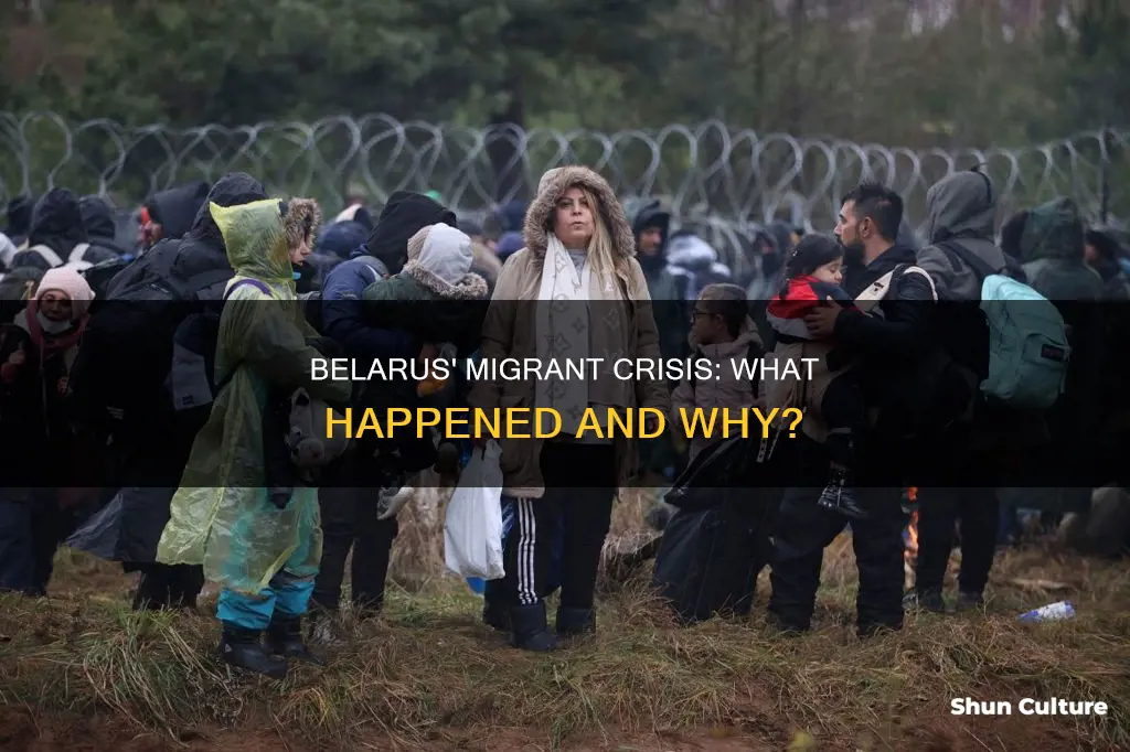 what happened to the migrants in belarus