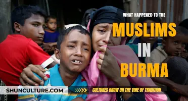 Unveiling the Plight: The Muslim Crisis in Burma
