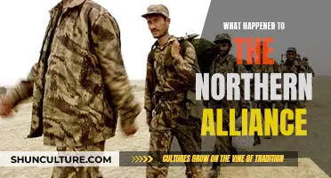 The Northern Alliance's Legacy: A Historical Perspective