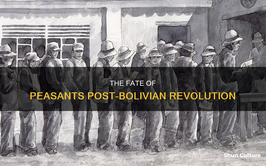 what happened to the peasants after the bolivian revolution