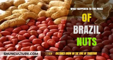 Brazil Nuts Price Surge: Causes and Market Impact Explained