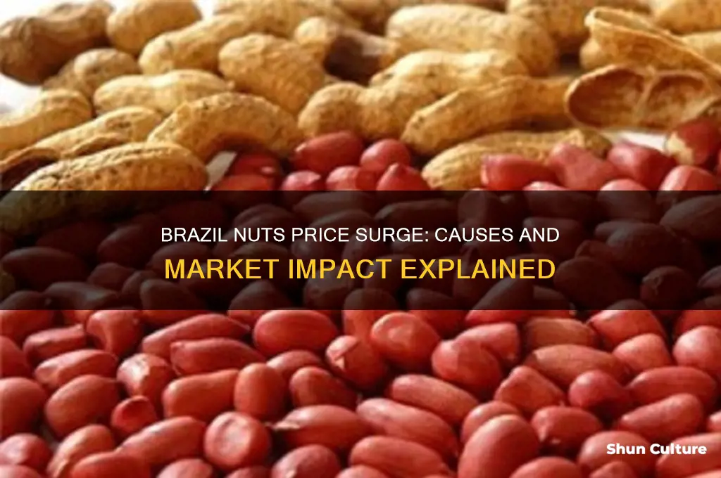 what happened to the price of brazil nuts