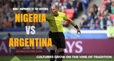 Controversial Call: The Referee's Fate in Nigeria vs Argentina Match