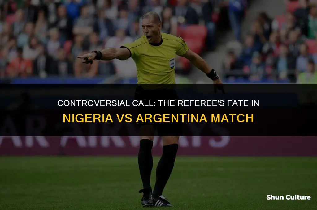 what happened to the referee nigeria vs argentina